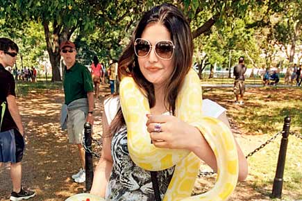 Spotted: Zareen Khan wrapped up in snake!