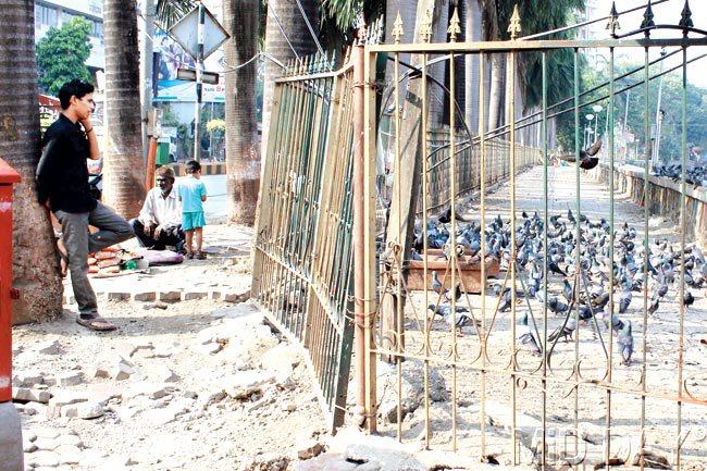 The footpath along Bandra Talao is also in bad condition. The BMC says as there is no other objection, work on the lake will start soon. The MHCC chairman says the civic body has also been told about keeping the lake water cleaner. File pics
