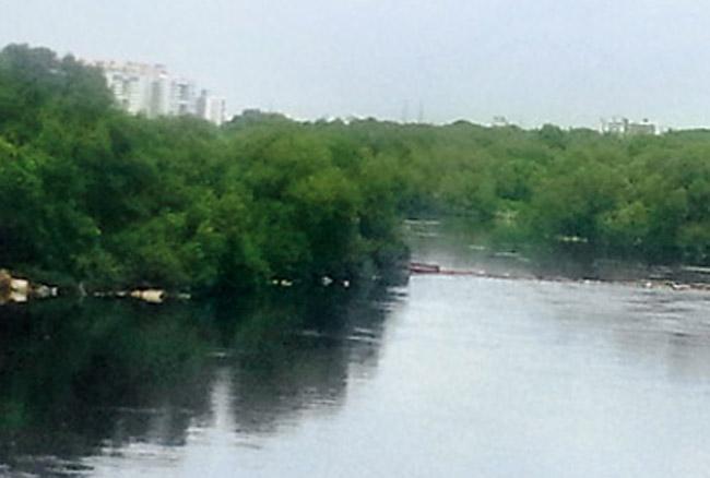 Mithi River 