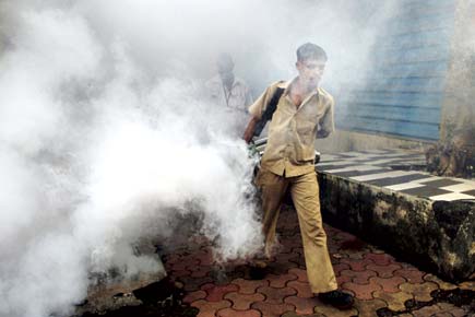 Mumbai: Uproar in BMC over use of low-quality fumigation oil