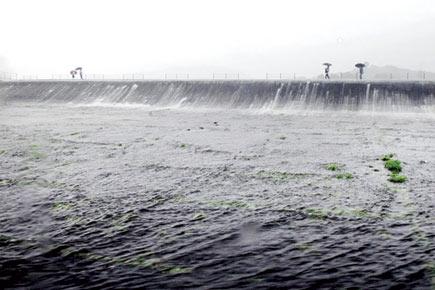 Lakes that provide water to Mumbai record highest water levels in 5 years