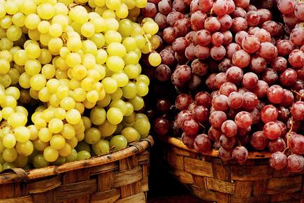 Health: Top 7 fruits rich in vitamin C