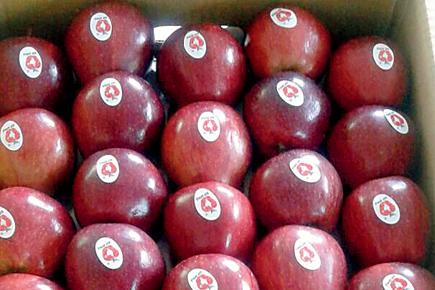 Traders face shortage in apples after J&K flood washes away crops