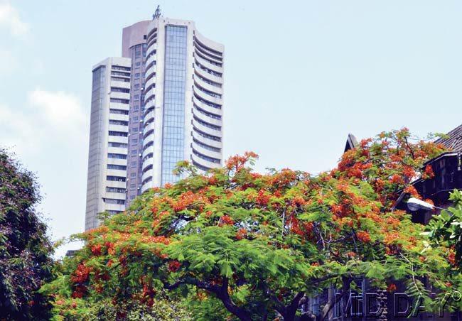 Just like this gulmohar tree in front of BSE, the markets also saw a colourful week gone past. Pic/Datta Kumbhar