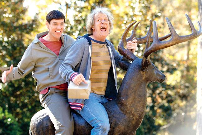 The level of humour in Dumb and Dumber To transcends lowbrow