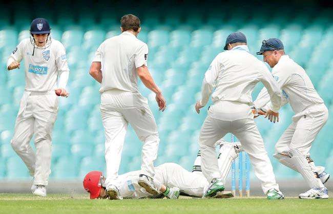 Phillip Hughes falls after being struck on the head by a Sean Abbott bouncer during a Sheffield Shield match on Tuesday. Pic/Getty Images