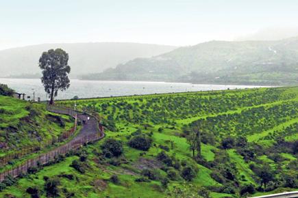 Head to these travel havens near Mumbai this long weekend