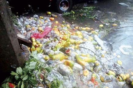 Heavy rains throw cold water on sale of fruits in Mumbai