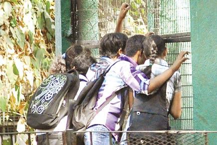 Security staff at Byculla zoo on alert following Delhi incident