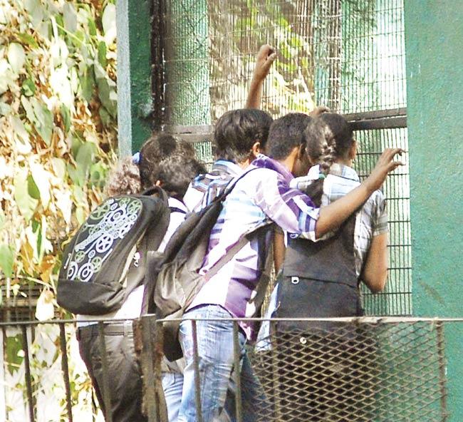 Zoo authorities said the security staff has been asked to ensure that people don’t go too close to the enclosures, especially children. File pic