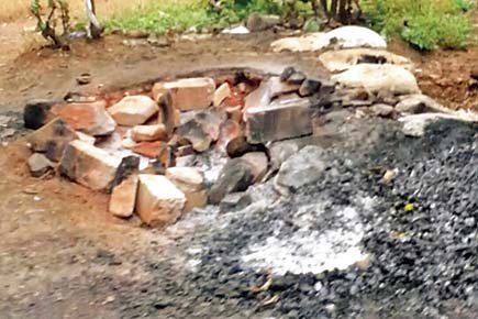 Mumbai: Forest officials destroy one hooch-brewing unit at SGNP