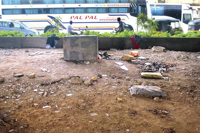 The spot, under the Sanjay Gandhi National Park flyover in Borivli, where the girl’s body was found