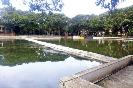 Navi Mumbai: 'Walls' put up in lakes to curb pollution