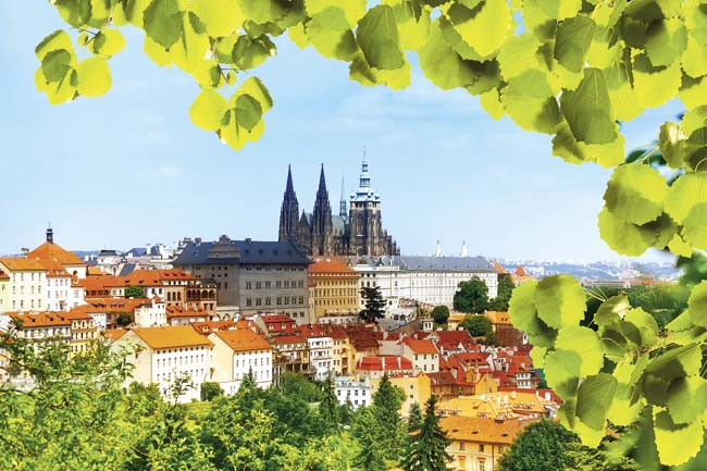 Panorama of Prague Hrad and Vitas cathedral