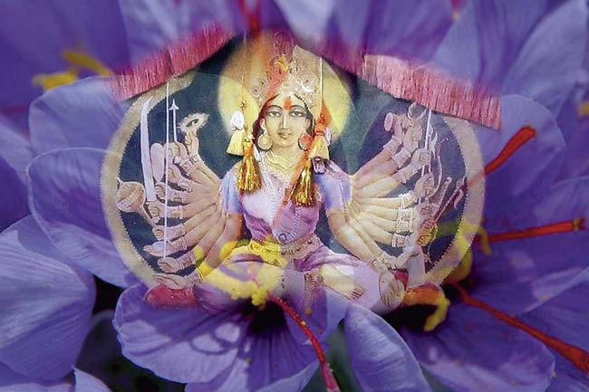 ‘Sharika Devi — The Saffron Goddess’, one of her photographs 