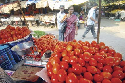 Mumbai: Tomato prices take a dip due to rains
