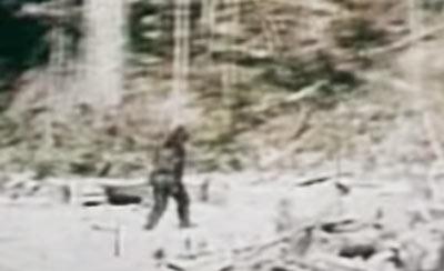 Bigfoot, Sasquatch, Patterson–Gimlin film, 1967