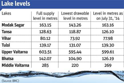 Water levels in Mumbai lakes on 31 July 2014