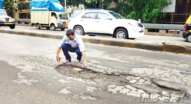 gargantuan: Our reporter measures the pothole and finds it is 50 inches long and 30 inches wide