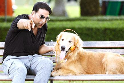Akshay Kumar enjoyed working with 100 dogs in 'Entertainment'