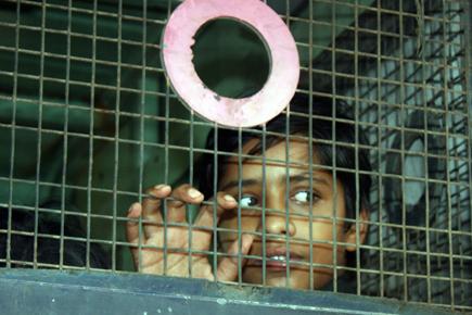 76% of rescued child labourers went back to work: Study 