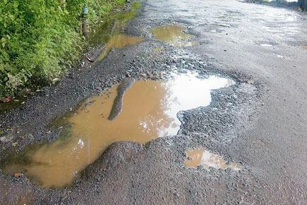 Smoother ride for Ganpati at Aarey Milk Colony