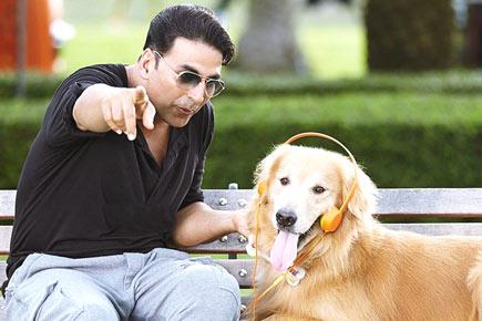 Box office: Akshay's 'Entertainment' earns over Rs 20 crore