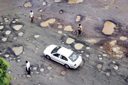 Rats responsible for 10% of Mumbai's potholes, claim experts 