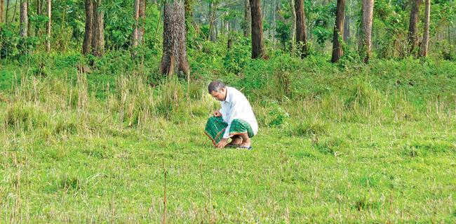 Jadav Payeng takes care of the entire forest all by himself