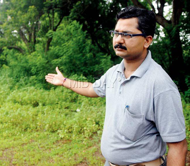 An SGNP official points at a possible location that can be converted into a grassland. Pic/Pradeep Dhivar