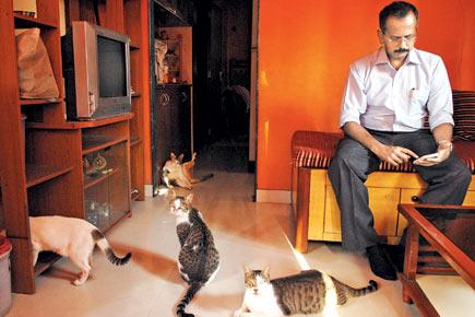 Mumbai housing society to charge pet owners Rs 50 a month