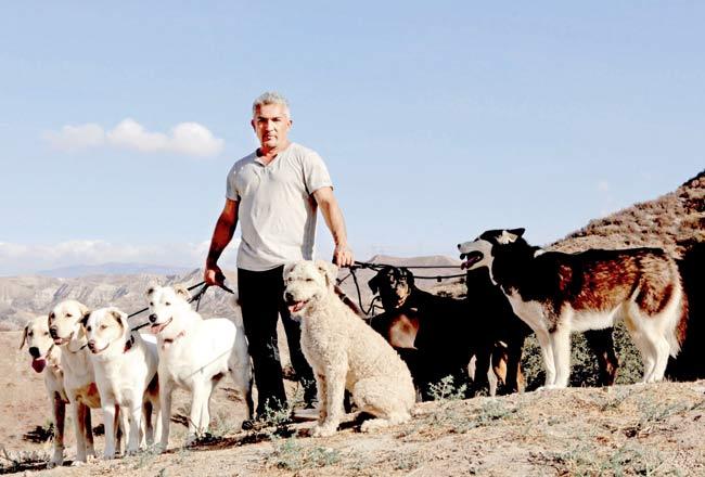 Cesar Millan standing on a mountain with a pack of dogs in California. Pic courtesy/Adina Pliskin 