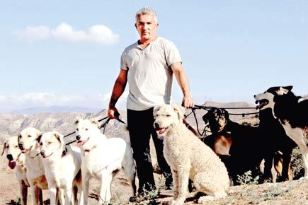 Dog Whisperer Cesar Millan shares tips on dealing with dogs
