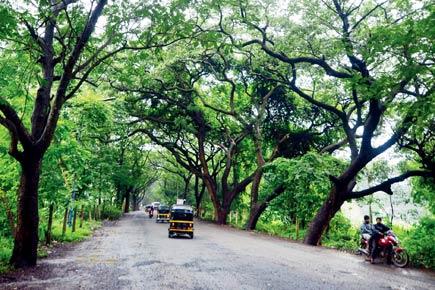 Mumbai: Here's what can protect biodiversity at Aarey