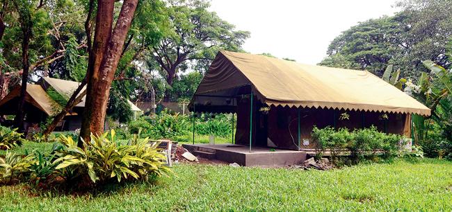 Air-conditioned tents at SGNP