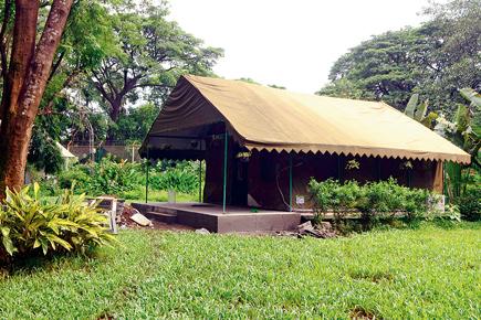 Now, enjoy a camping trip at SGNP