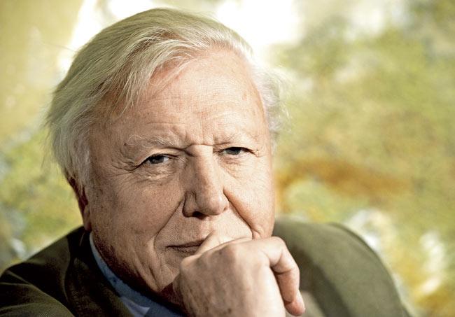 Sir David Attenborough. Pic/AFP