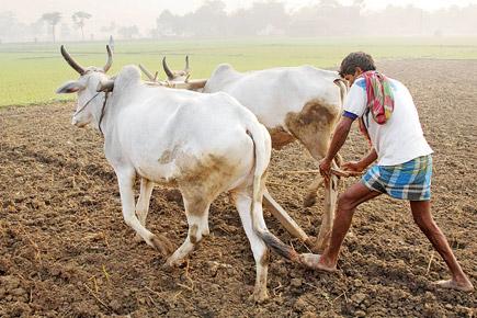 450 farmers benefit from state Money Lending Act