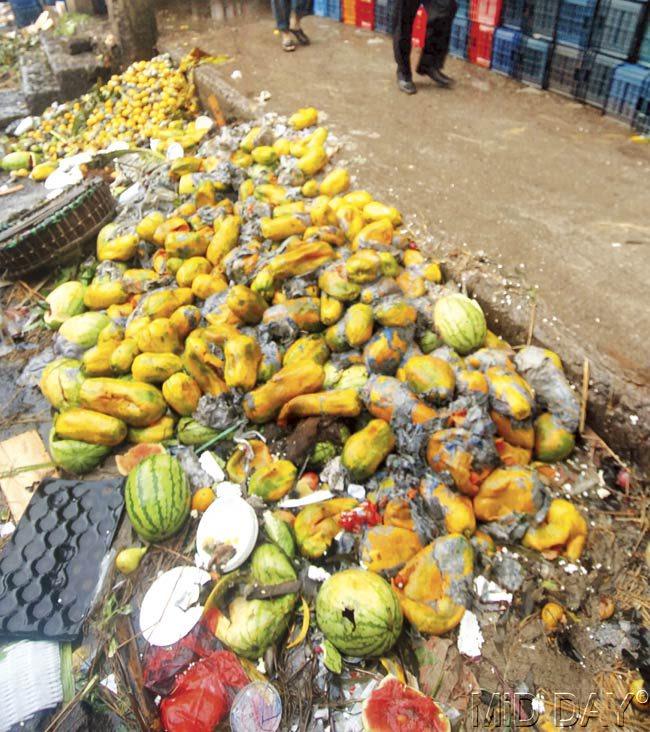 Traders complain that delays in receiving fruit consignments, due to rains, result in spoiling of the produce and reduction of its shelf life. Pic/Sameer Markande