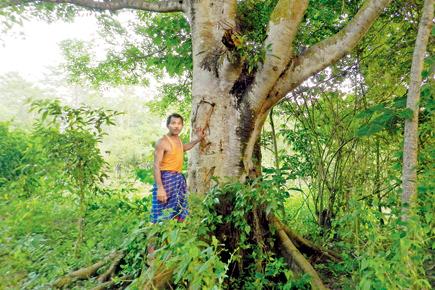 Meet the Forest Man of India