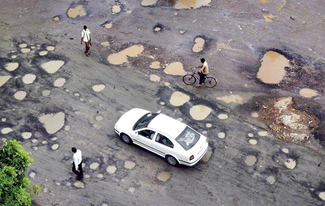 Going by the experts’ estimates, at least 600 of the city’s potholes have been caused by rats. File pic