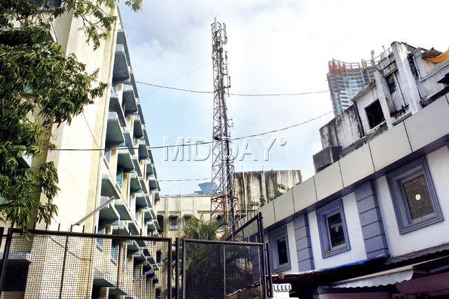 The tower in the premises of the municipal school in Prabhadevi and opposite a maternity home. Pic/Emmanual Karbhari