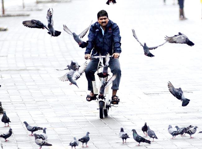 Prasad Kambli rides his battery-operated cycle at Marine Drive. Pics/Bipin Kokate