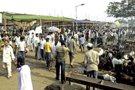 BJP wants Mumbai's abattoirs shut for 8 days to mark Jain festival