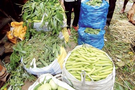 Some relief for Mumbaikars as vegetable prices fall