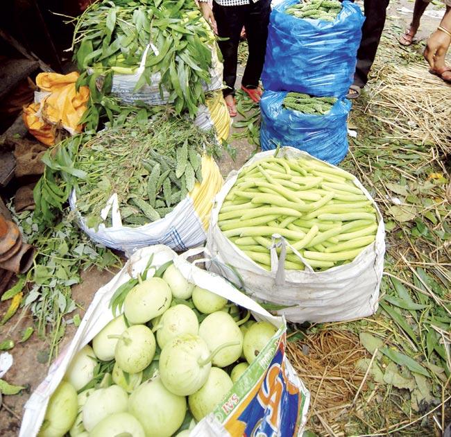 APMC has received heavy supply of vegetables from Nashik and Pune regions, bringing down their prices