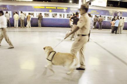At Pune railway station, just two dogs to sniff 160 trains
