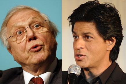 Hilarious Video: If David Attenborough interprets SRK's dance moves