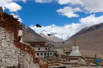 Tibet plateau getting hotter, polluted: Report