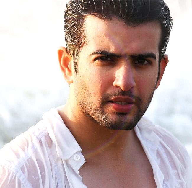 Jay Bhanushali wants to do a family film after 